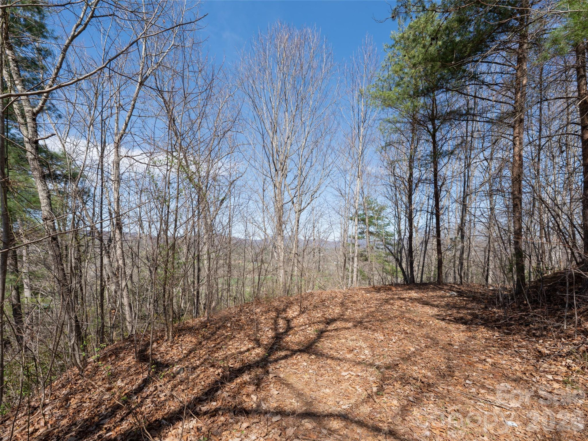 99999 Okoboji Drive - Photo 6