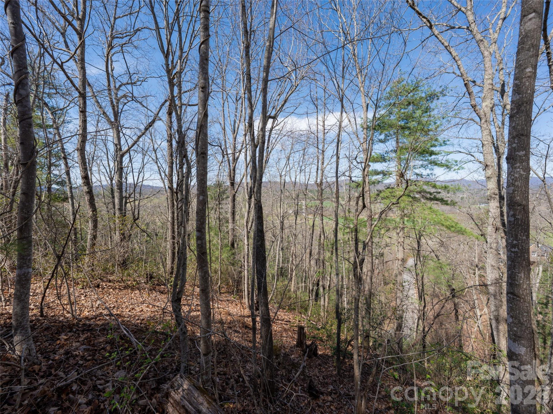 99999 Okoboji Drive - Photo 8