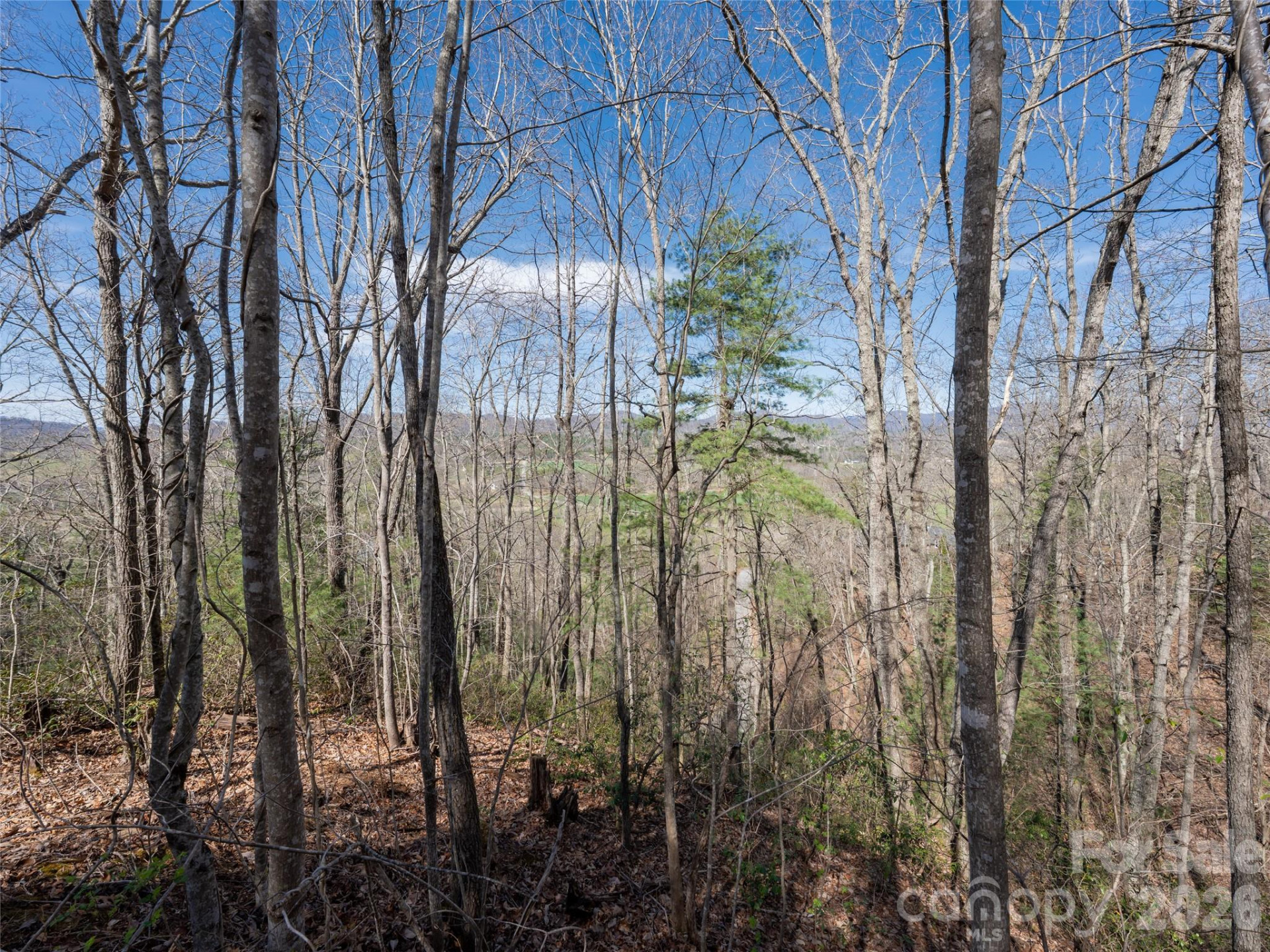 99999 Okoboji Drive - Photo 9