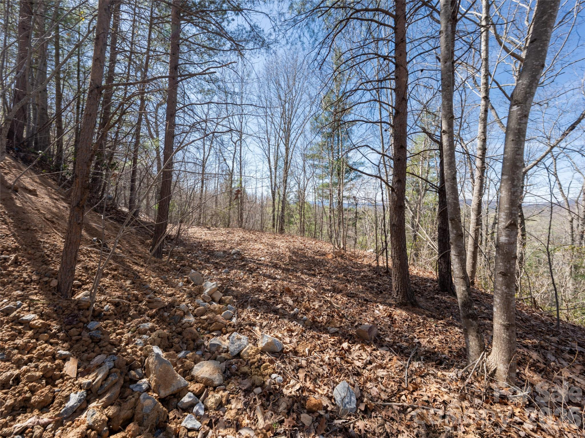 99999 Okoboji Drive - Photo 10