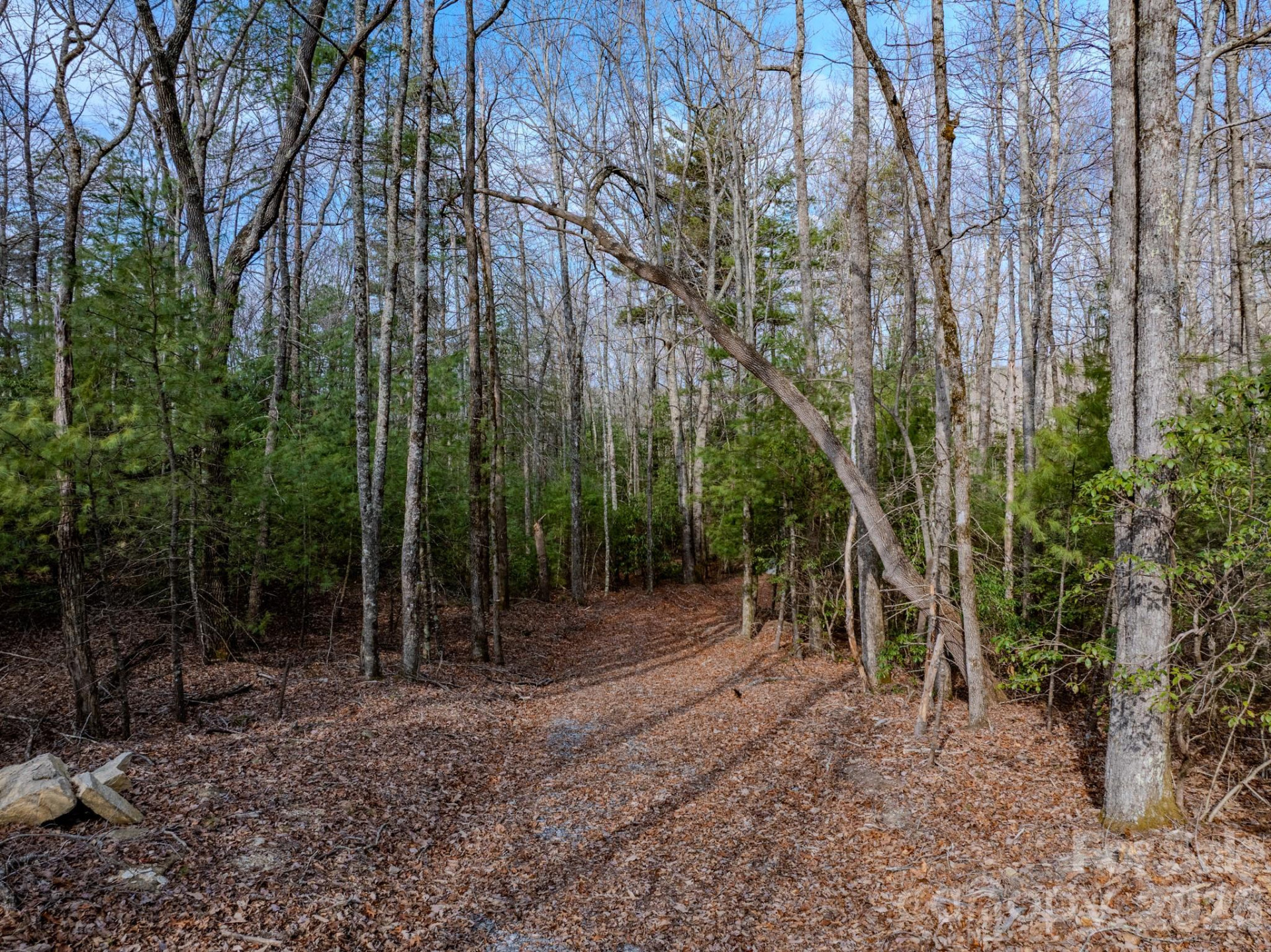 2201 Bulling Creek Road - Photo 42