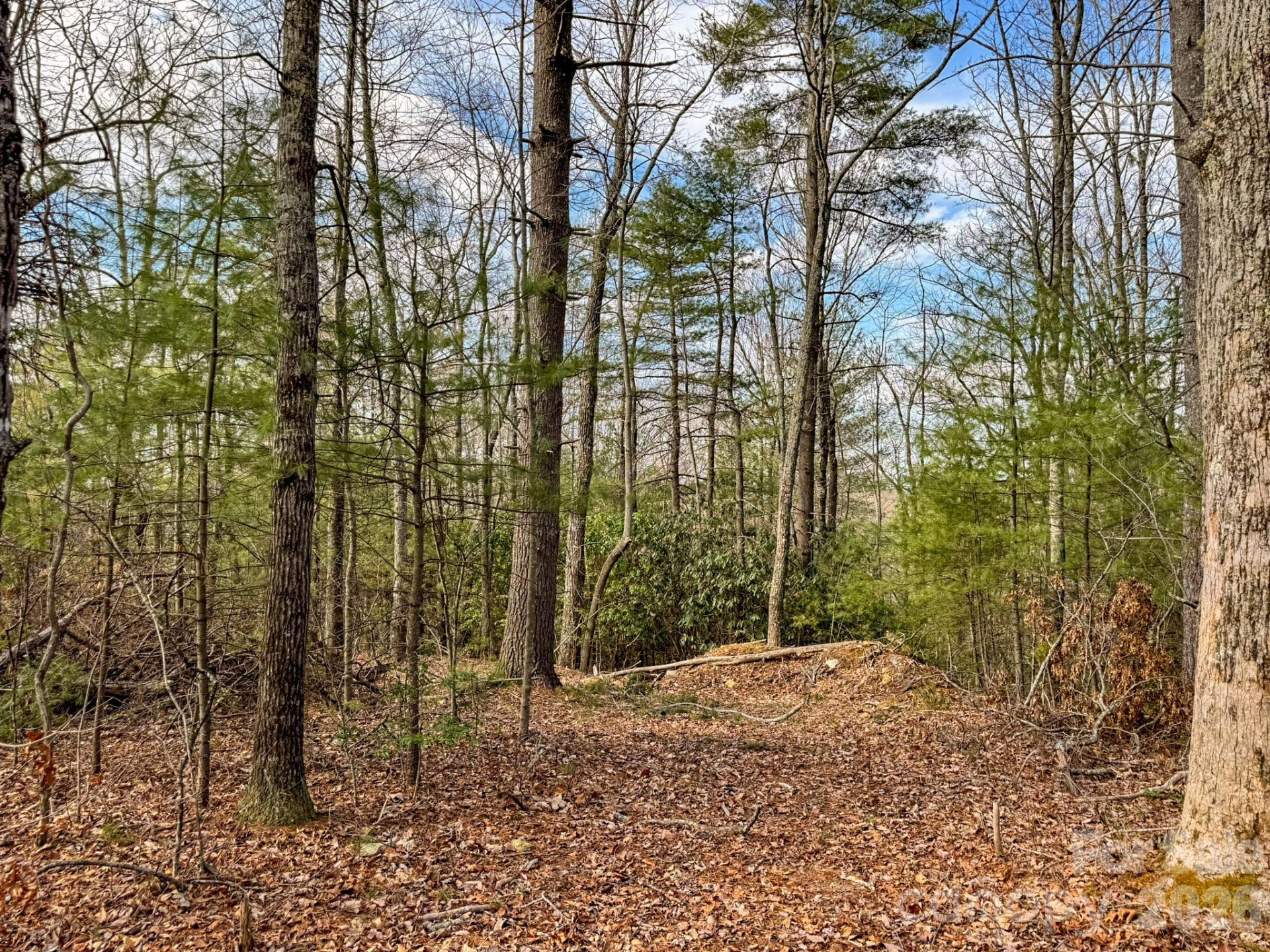 2201 Bulling Creek Road - Photo 43