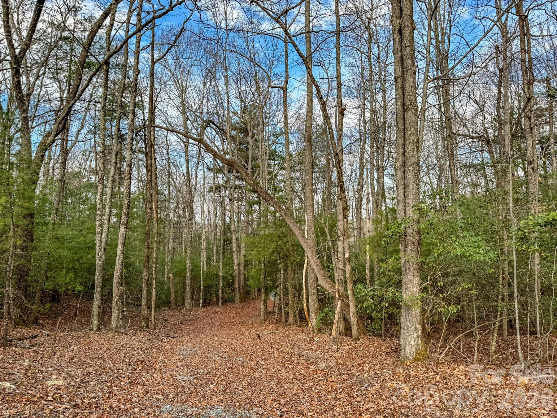 2201 Bulling Creek Road - Photo 44