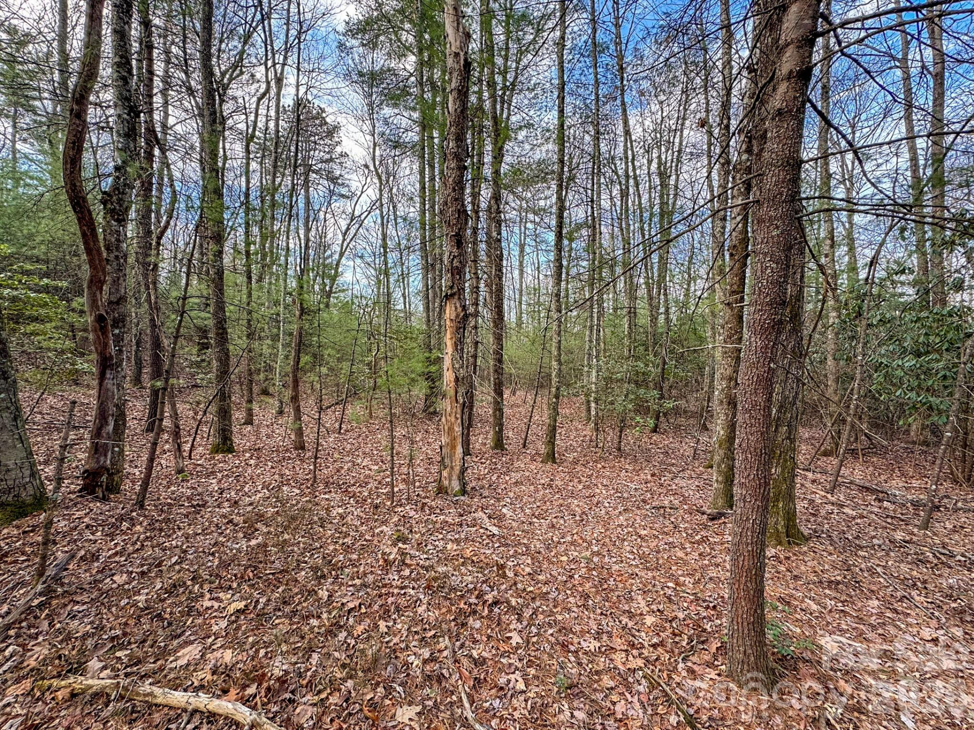 2201 Bulling Creek Road - Photo 45