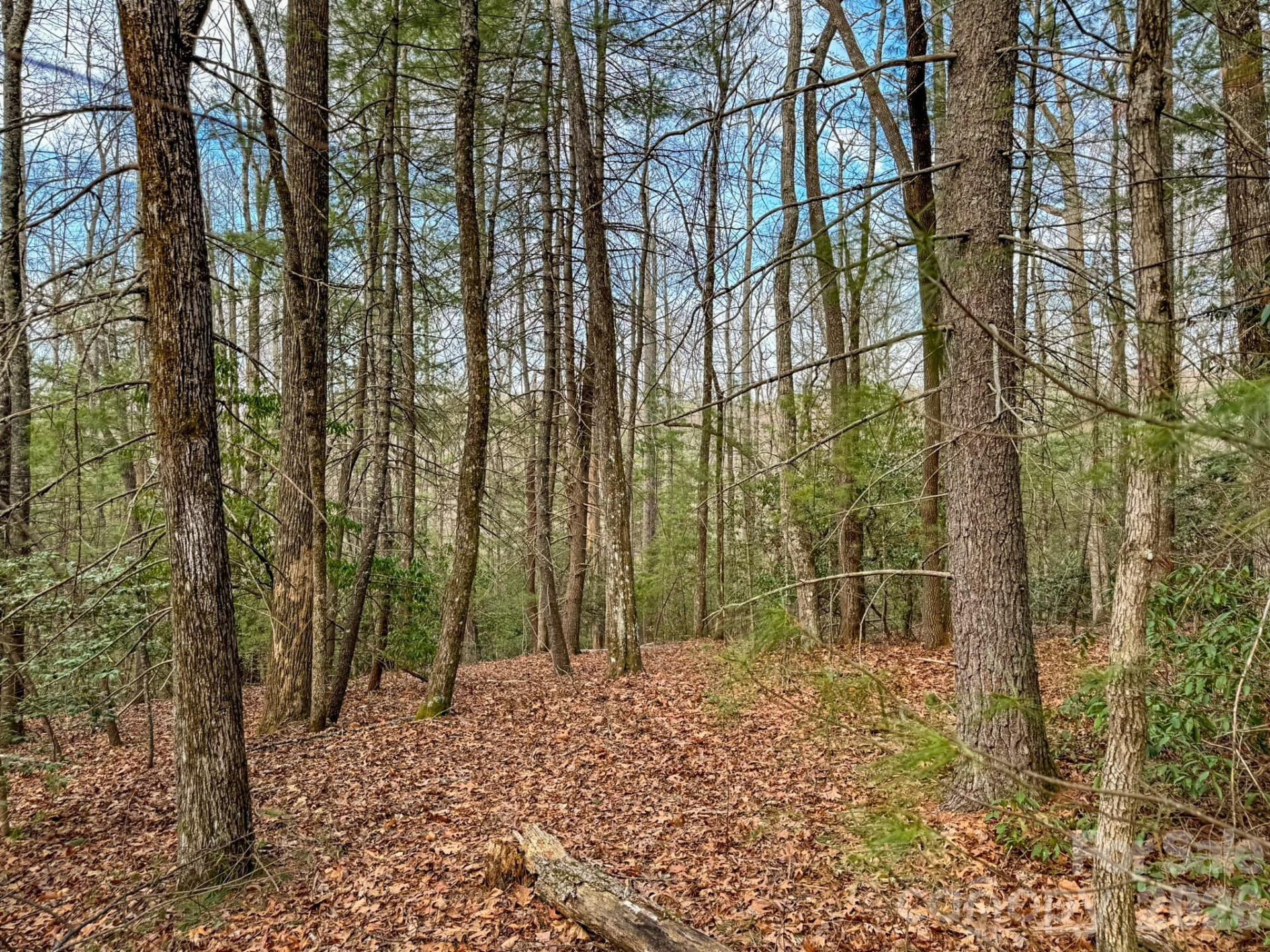 2201 Bulling Creek Road - Photo 46