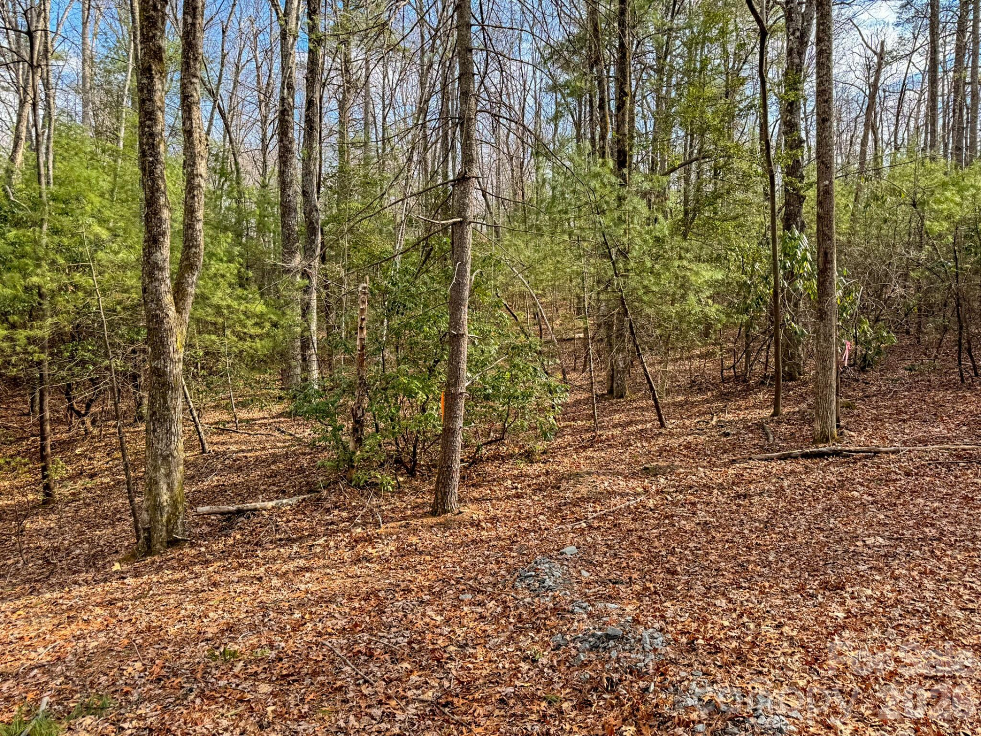 2201 Bulling Creek Road - Photo 47