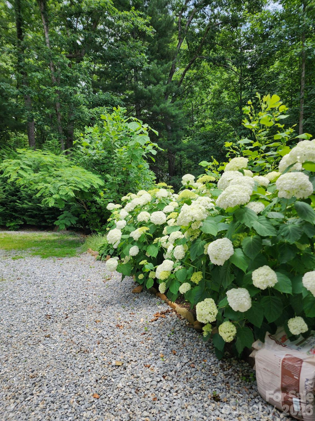 3327 Greenville Highway - Photo 32