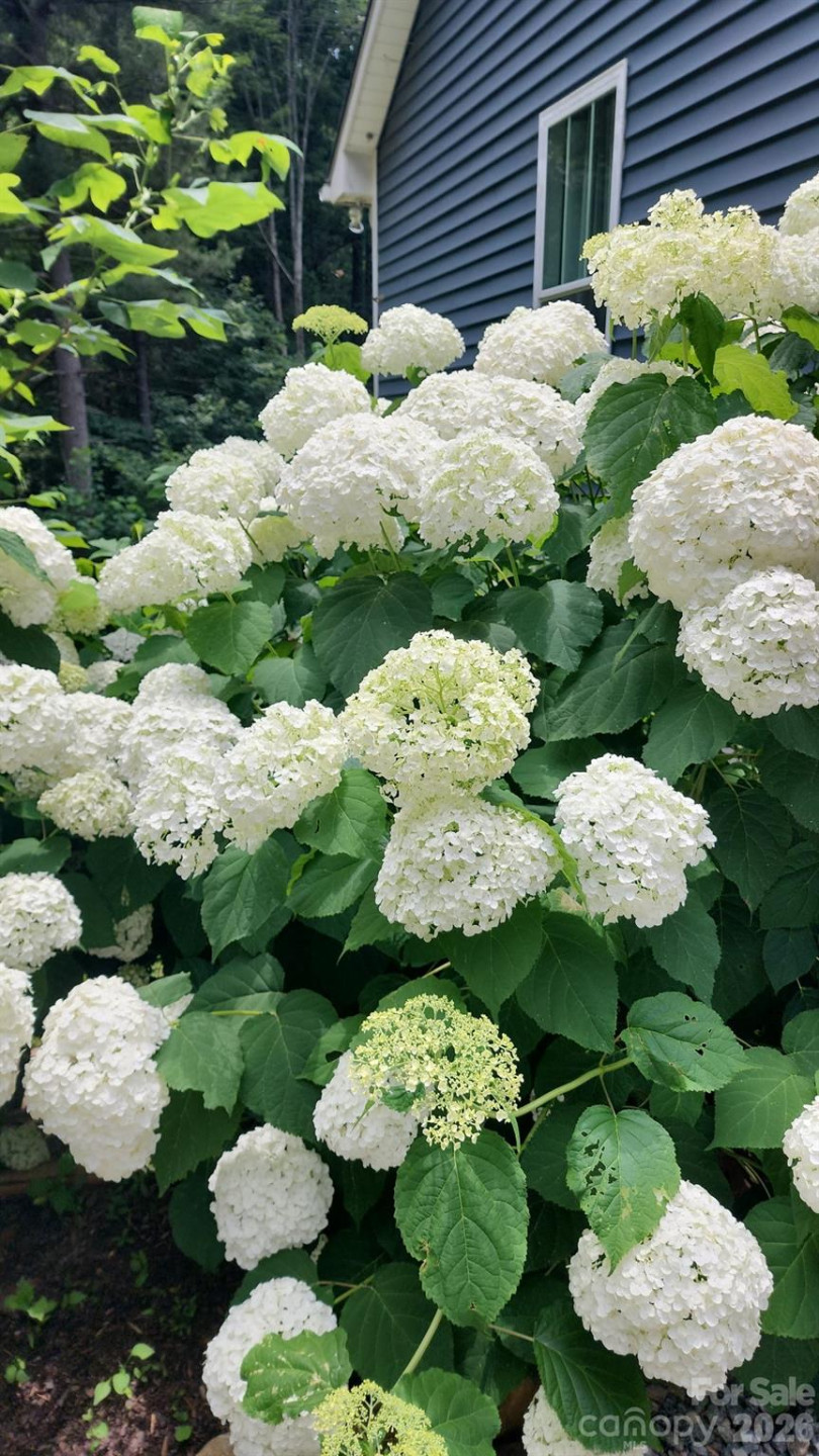 3327 Greenville Highway - Photo 33