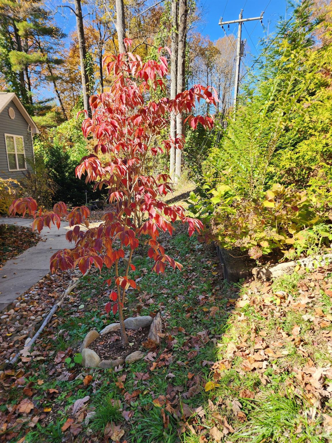 3327 Greenville Highway - Photo 37