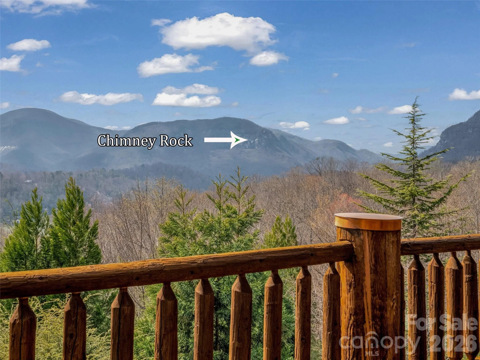 182 Deer Trail - Photo 6