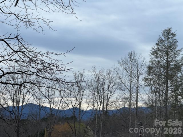 000 Fox Road, Old Fort, NC, 28762