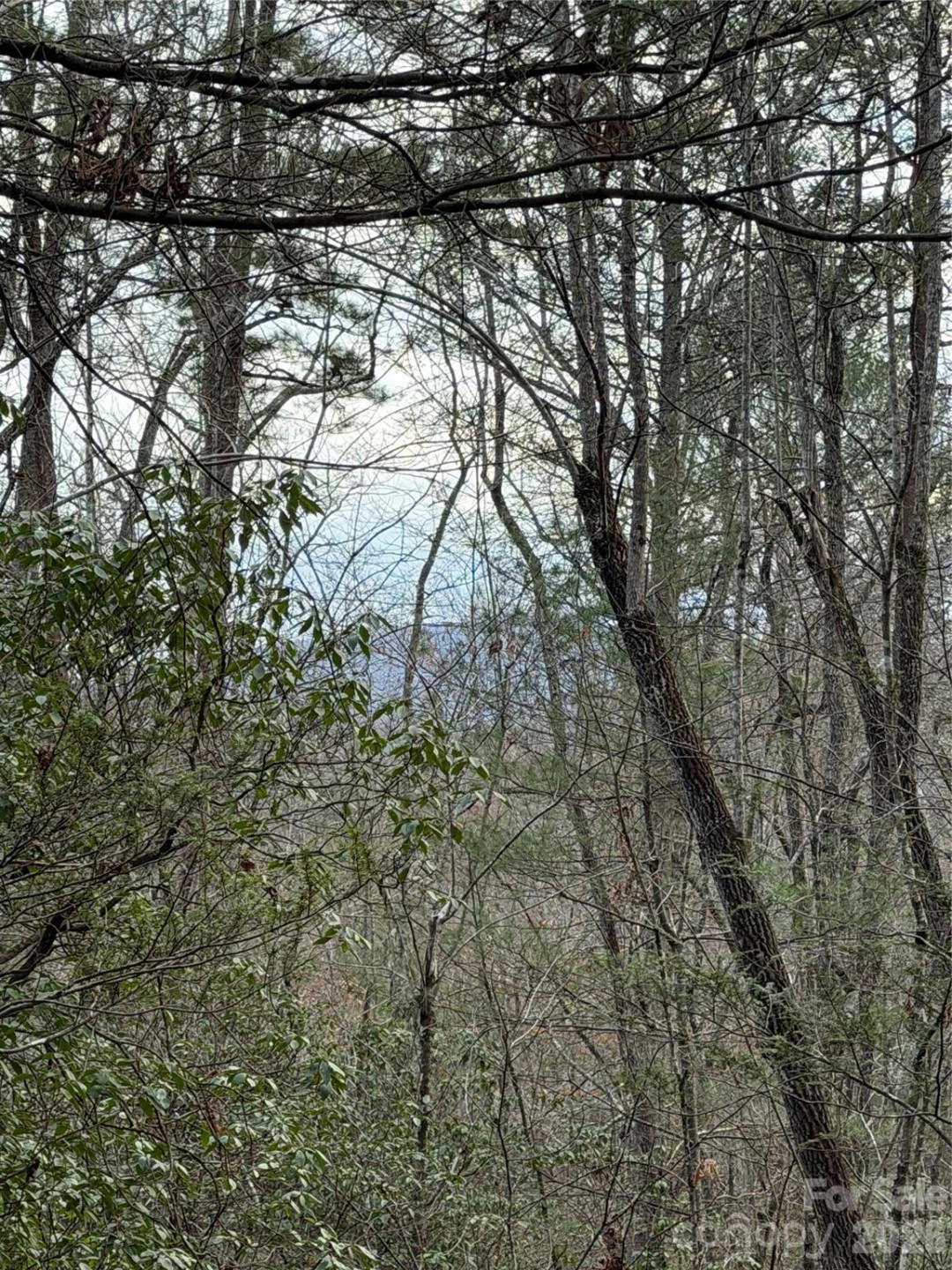 000 Fox Road - Photo 3