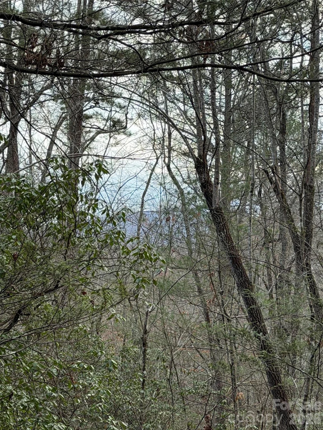 000 Fox Road - Photo 3