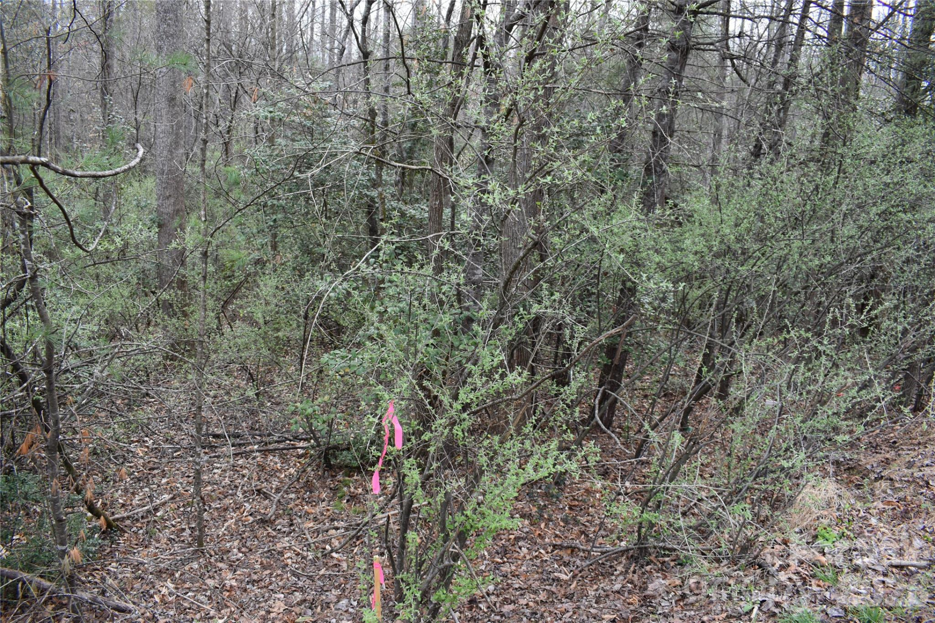 000 Fox Road - Photo 13