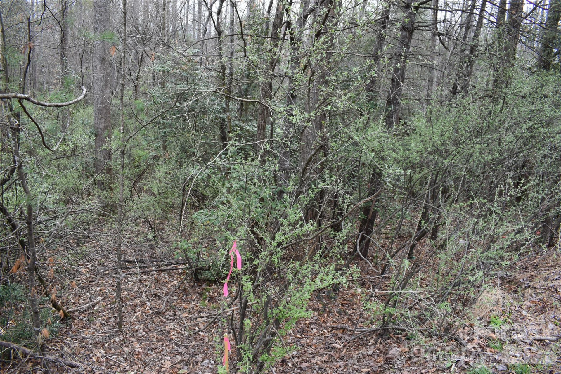 000 Fox Road - Photo 13