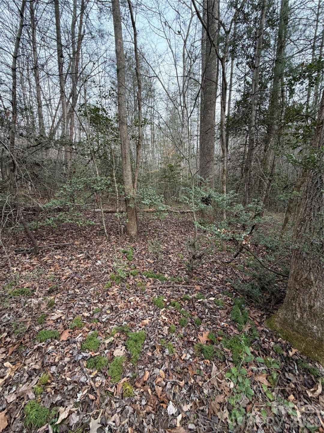 000 Fox Road - Photo 17