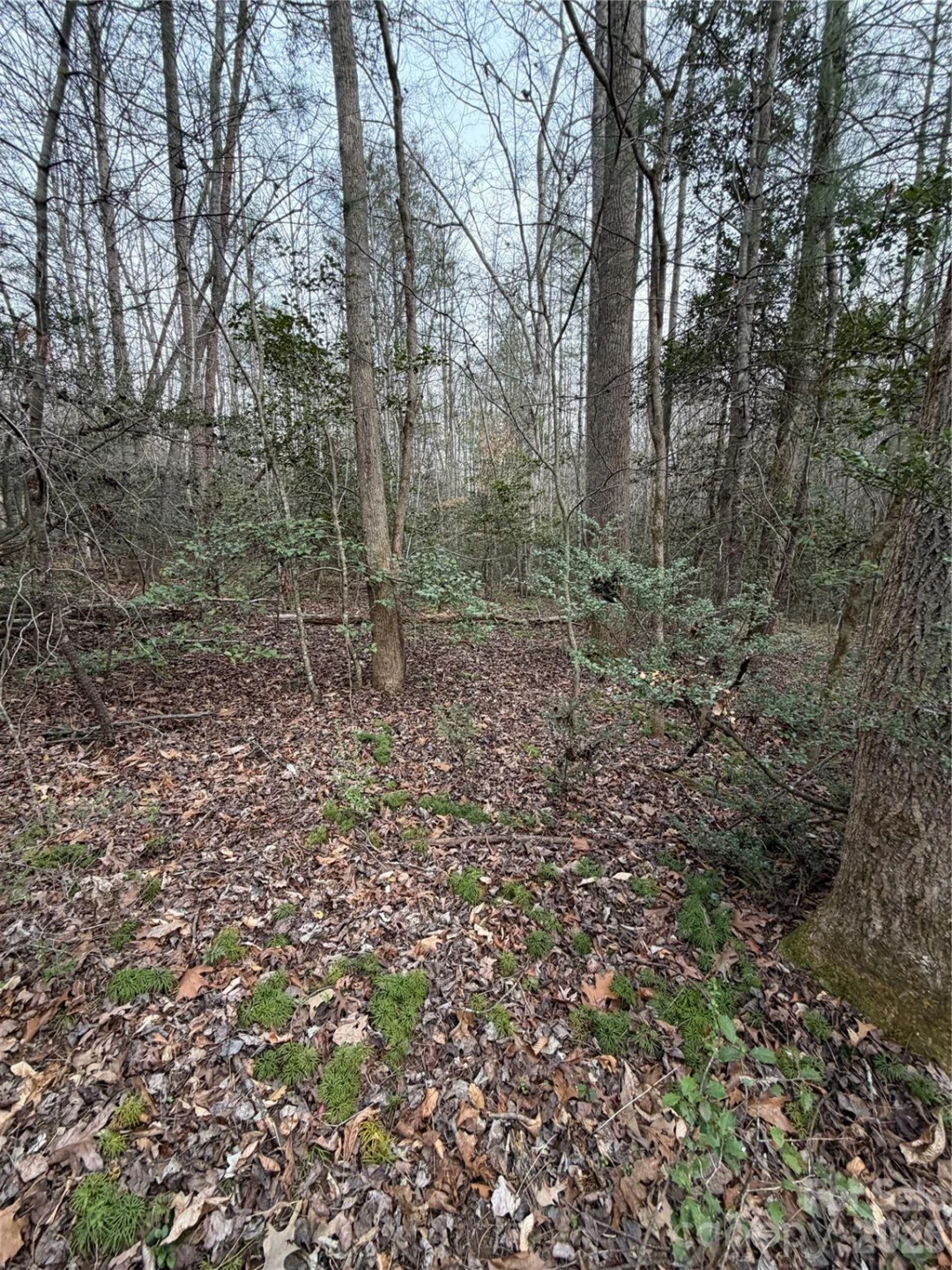 000 Fox Road - Photo 17