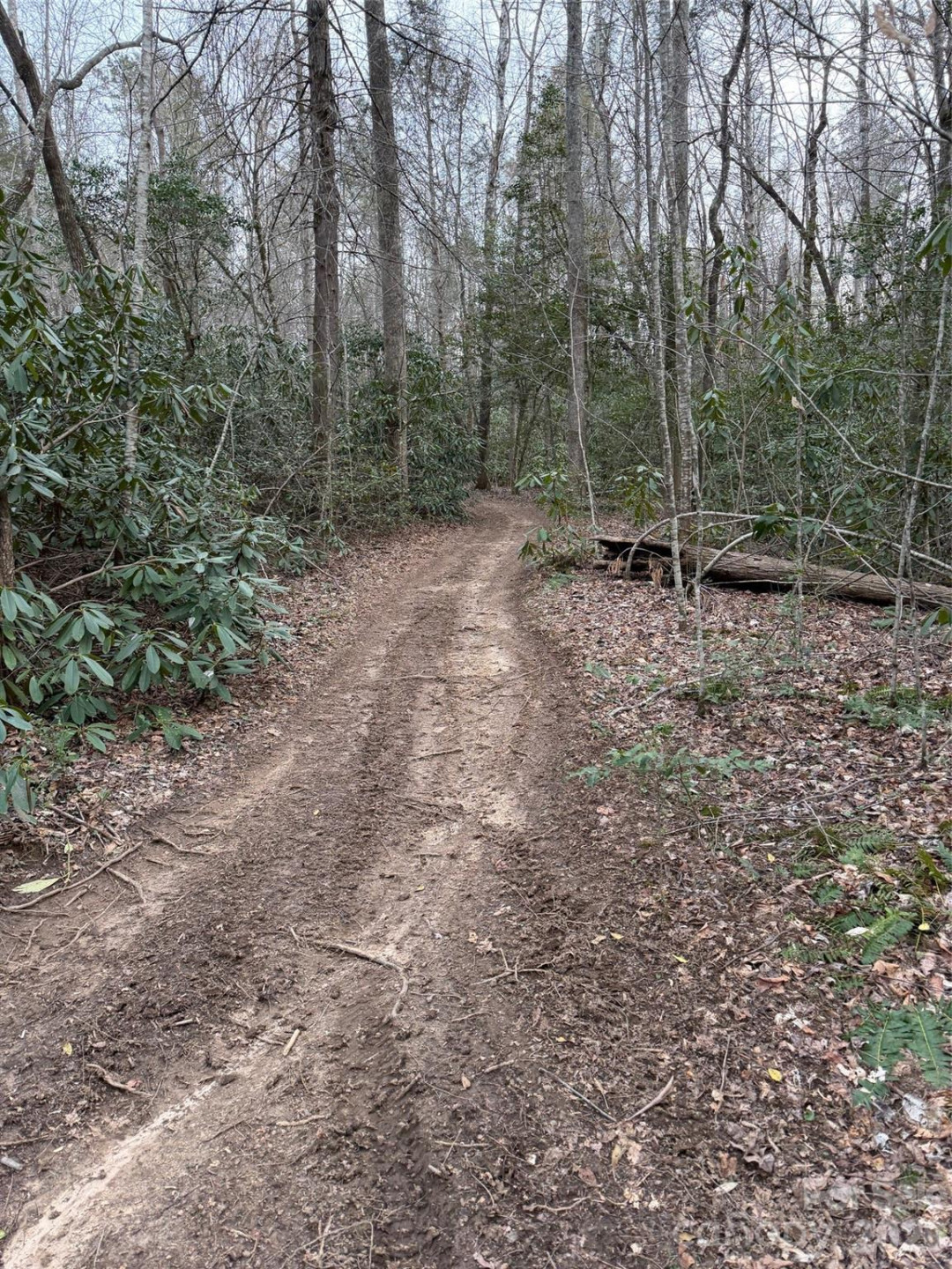 000 Fox Road - Photo 19