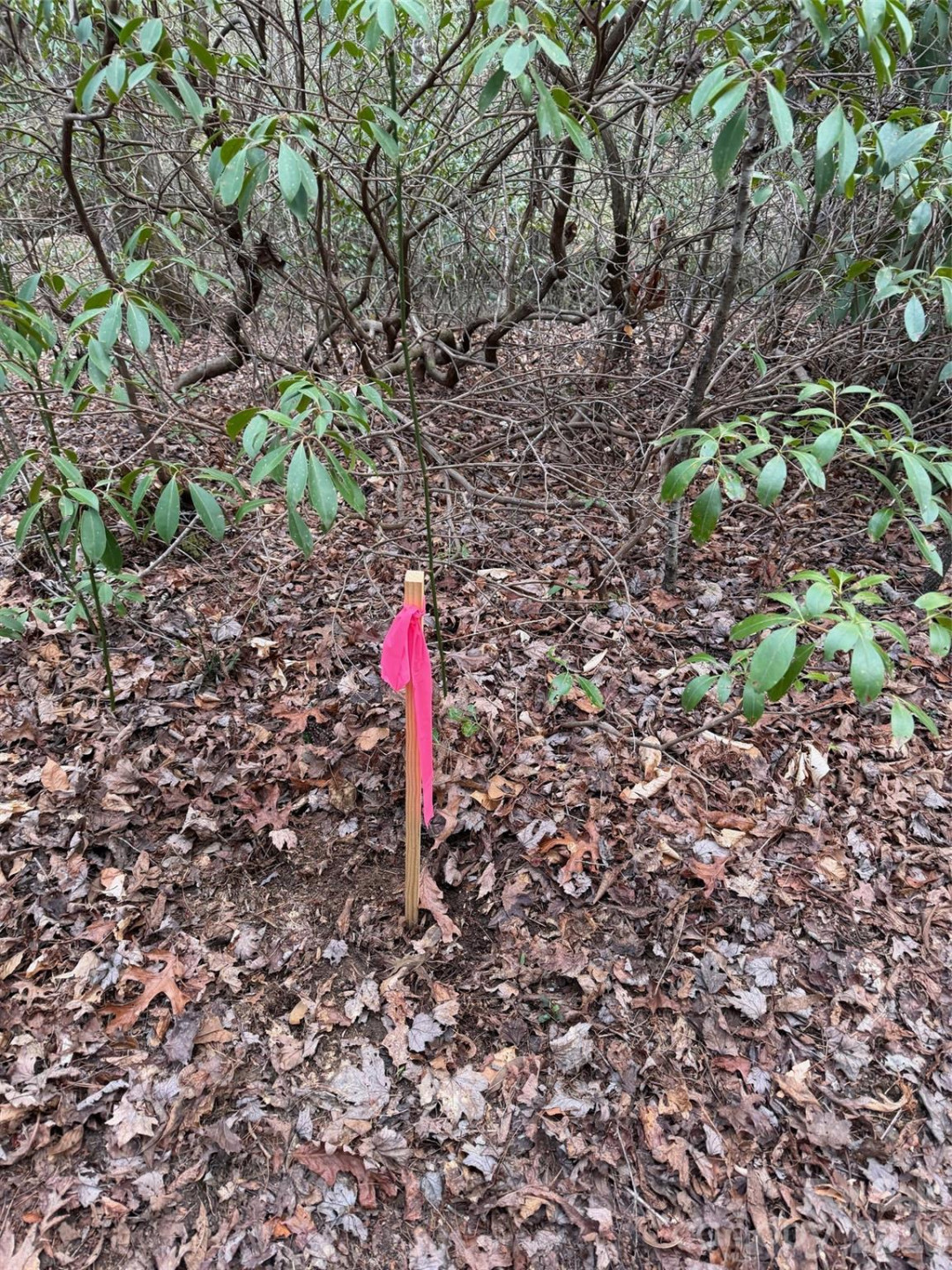 000 Fox Road - Photo 20