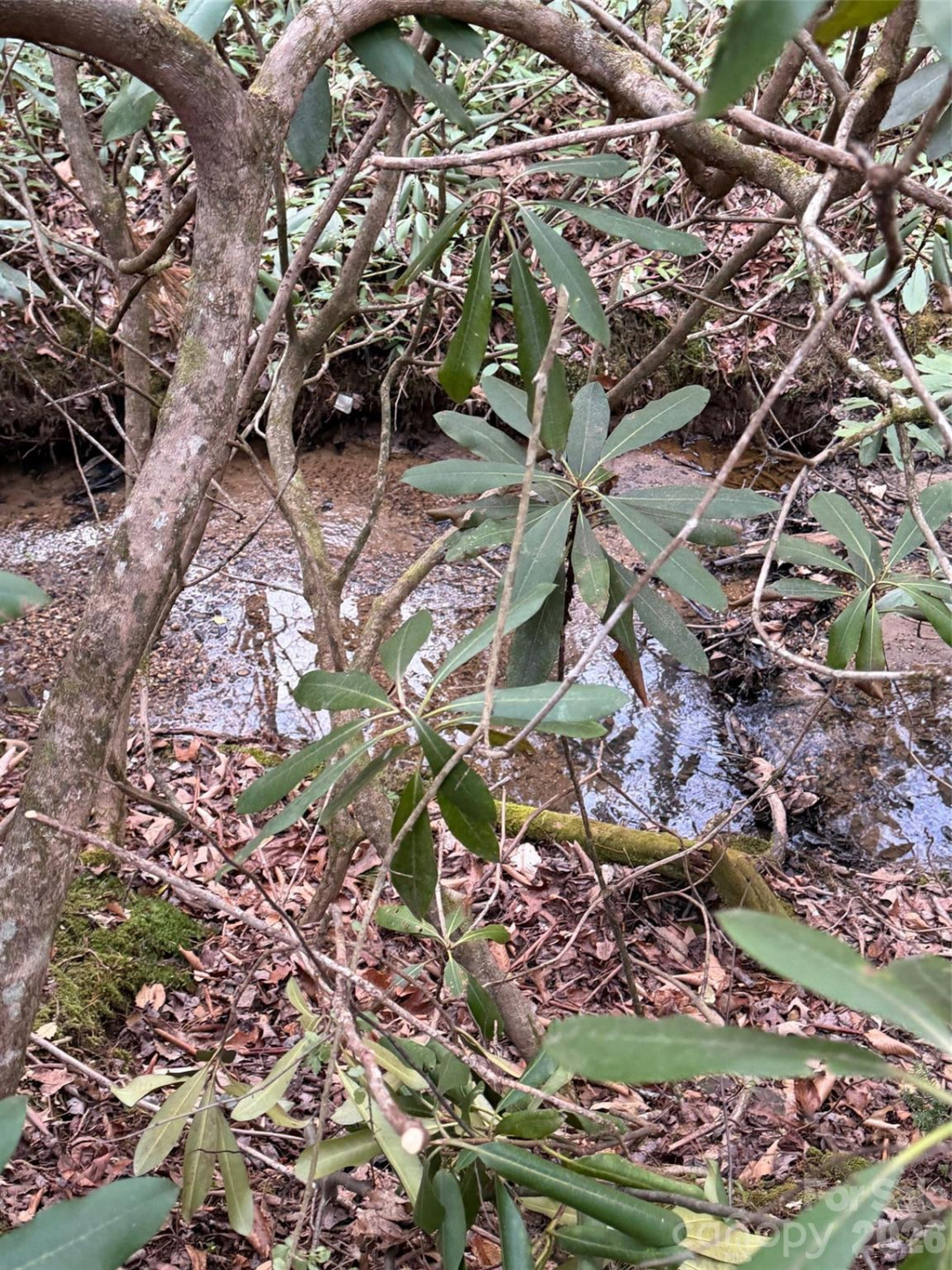 000 Fox Road - Photo 5