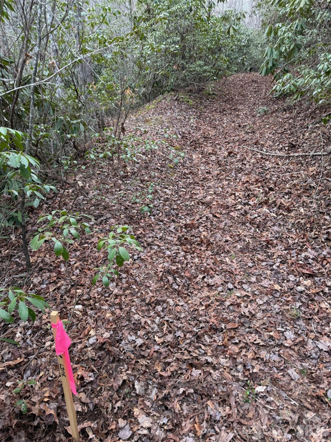 000 Fox Road - Photo 21