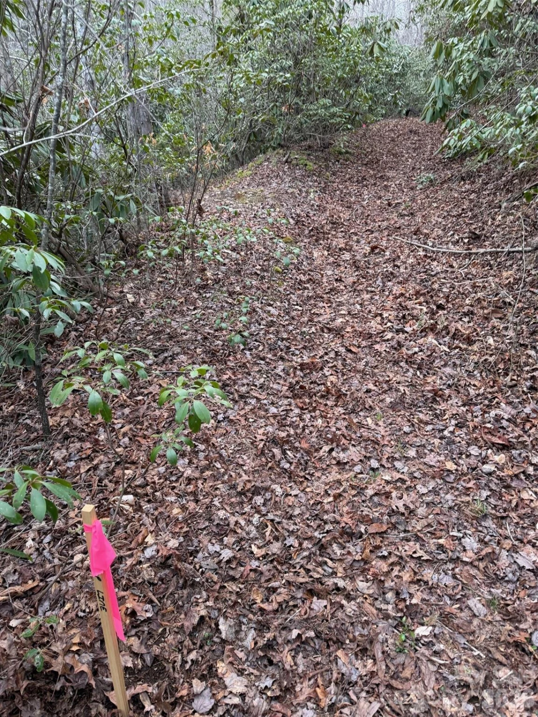 000 Fox Road - Photo 21