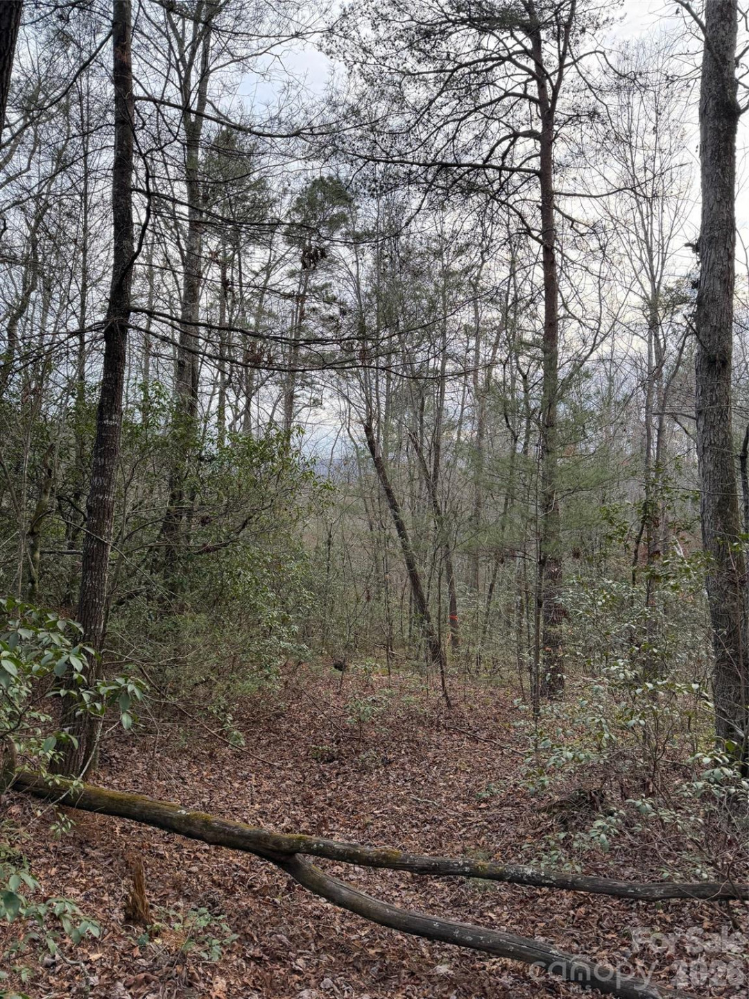 000 Fox Road - Photo 22