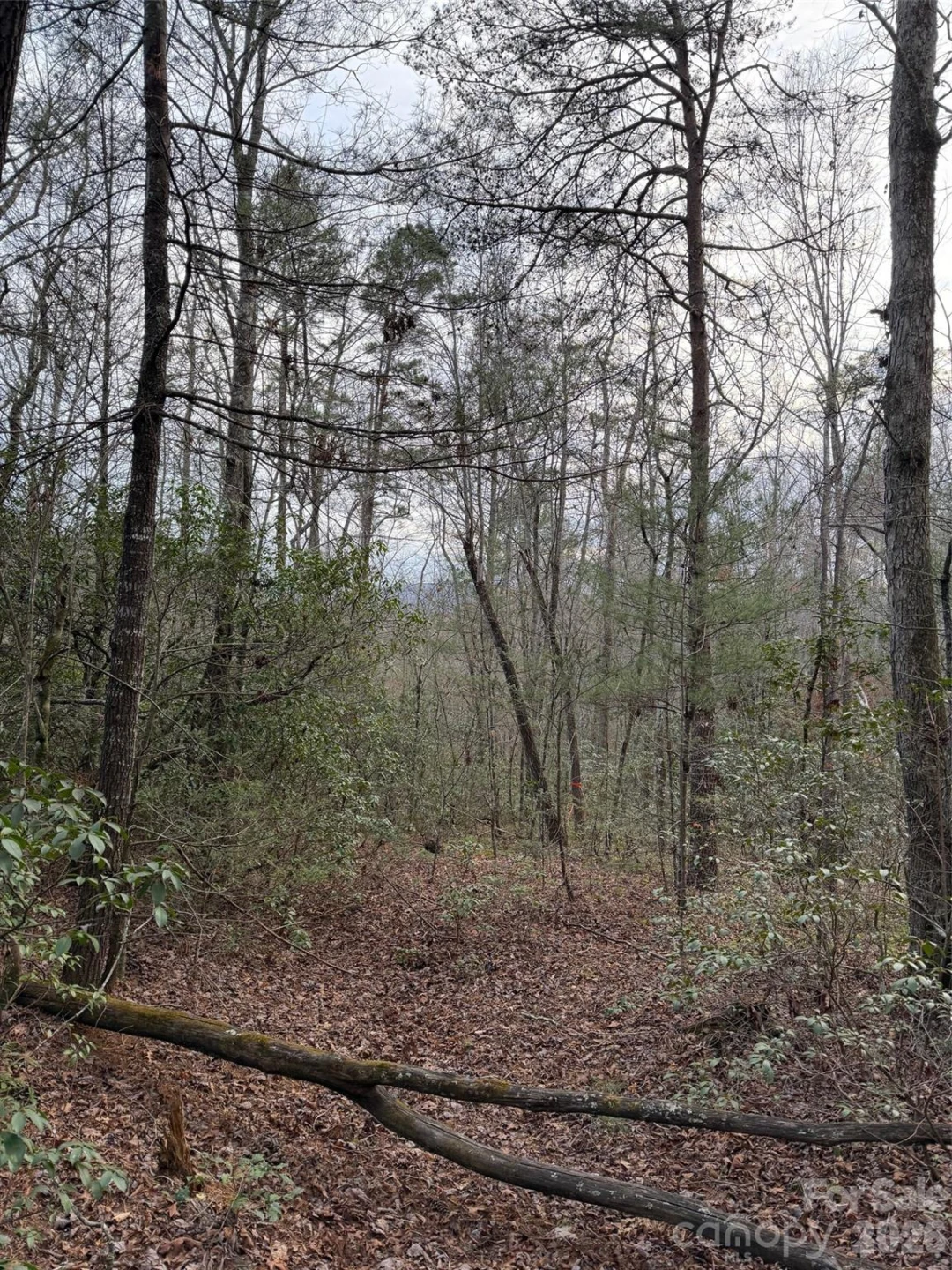 000 Fox Road - Photo 22
