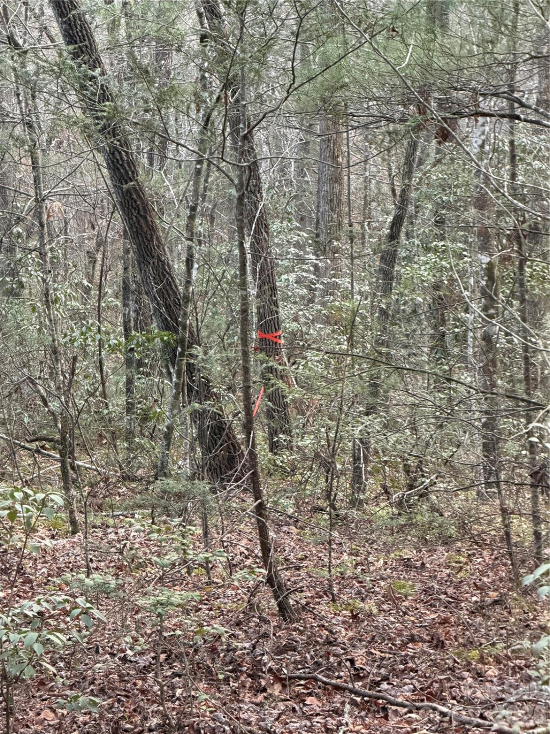 000 Fox Road - Photo 23