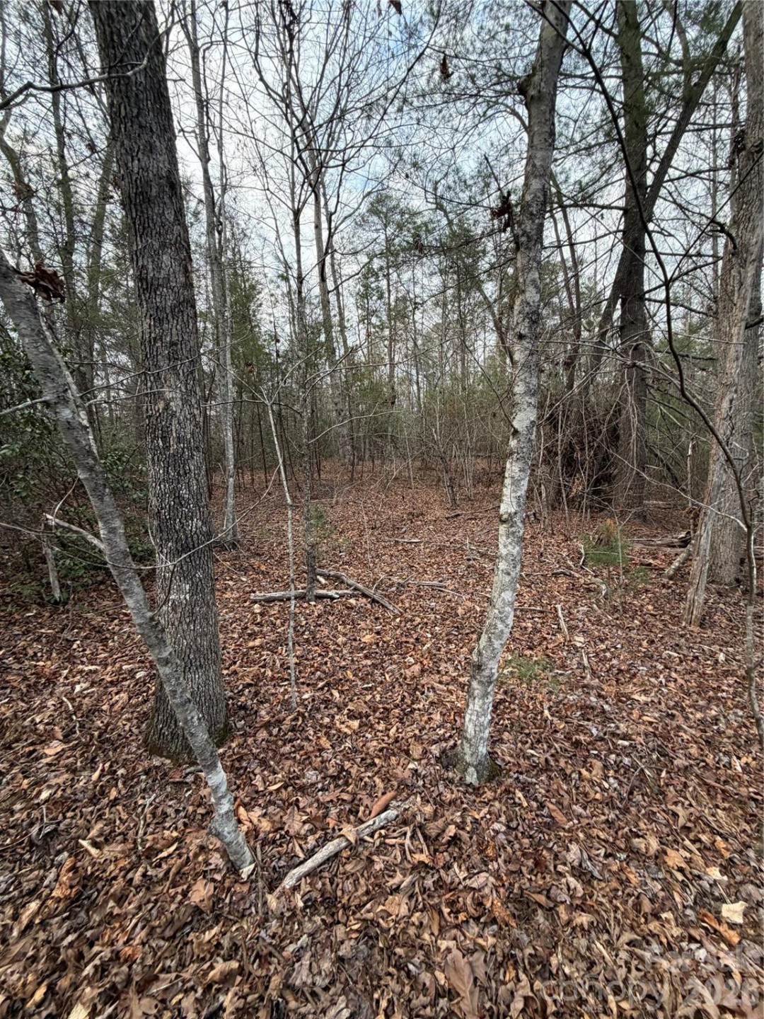 000 Fox Road - Photo 27