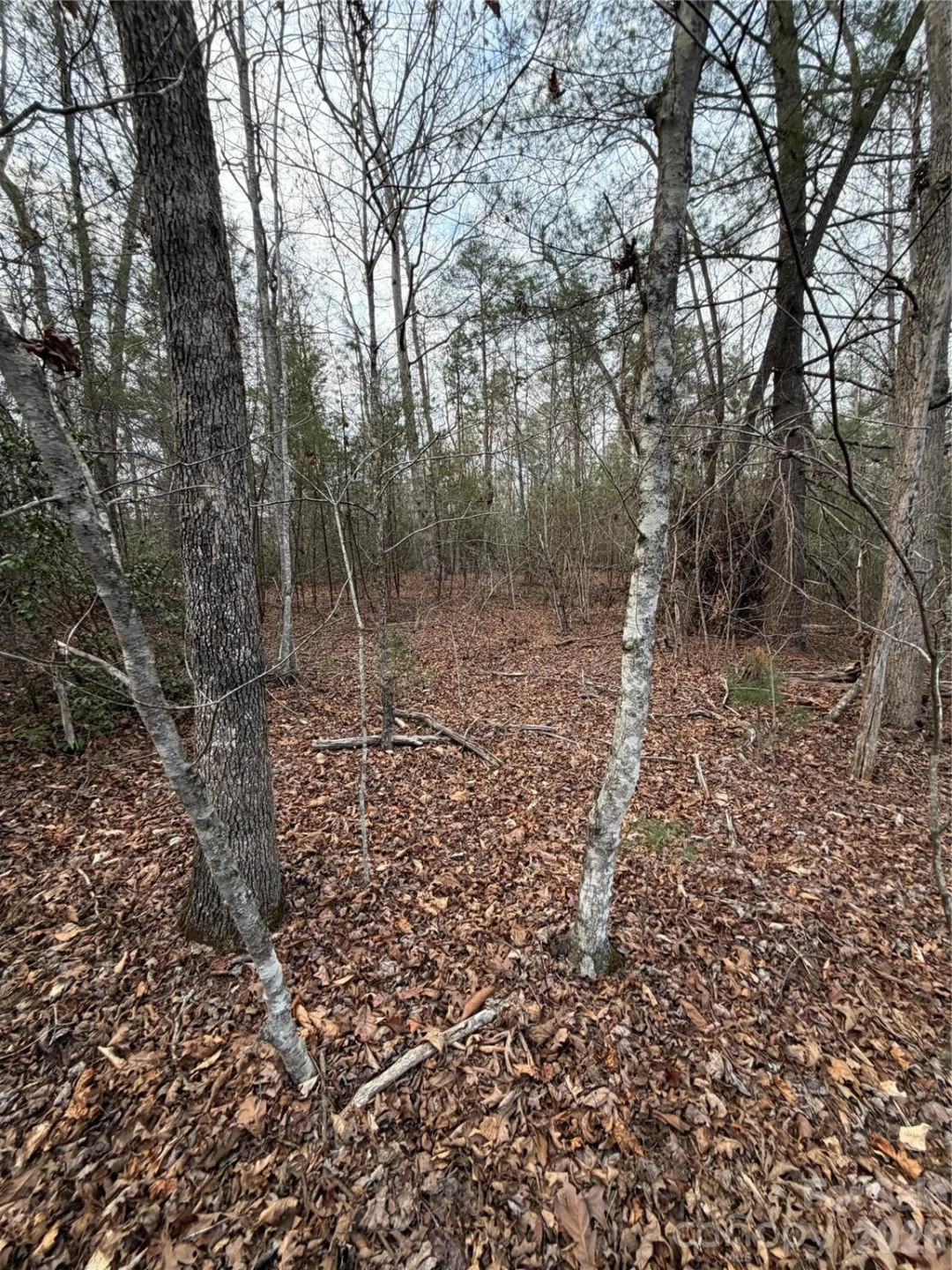 000 Fox Road - Photo 27