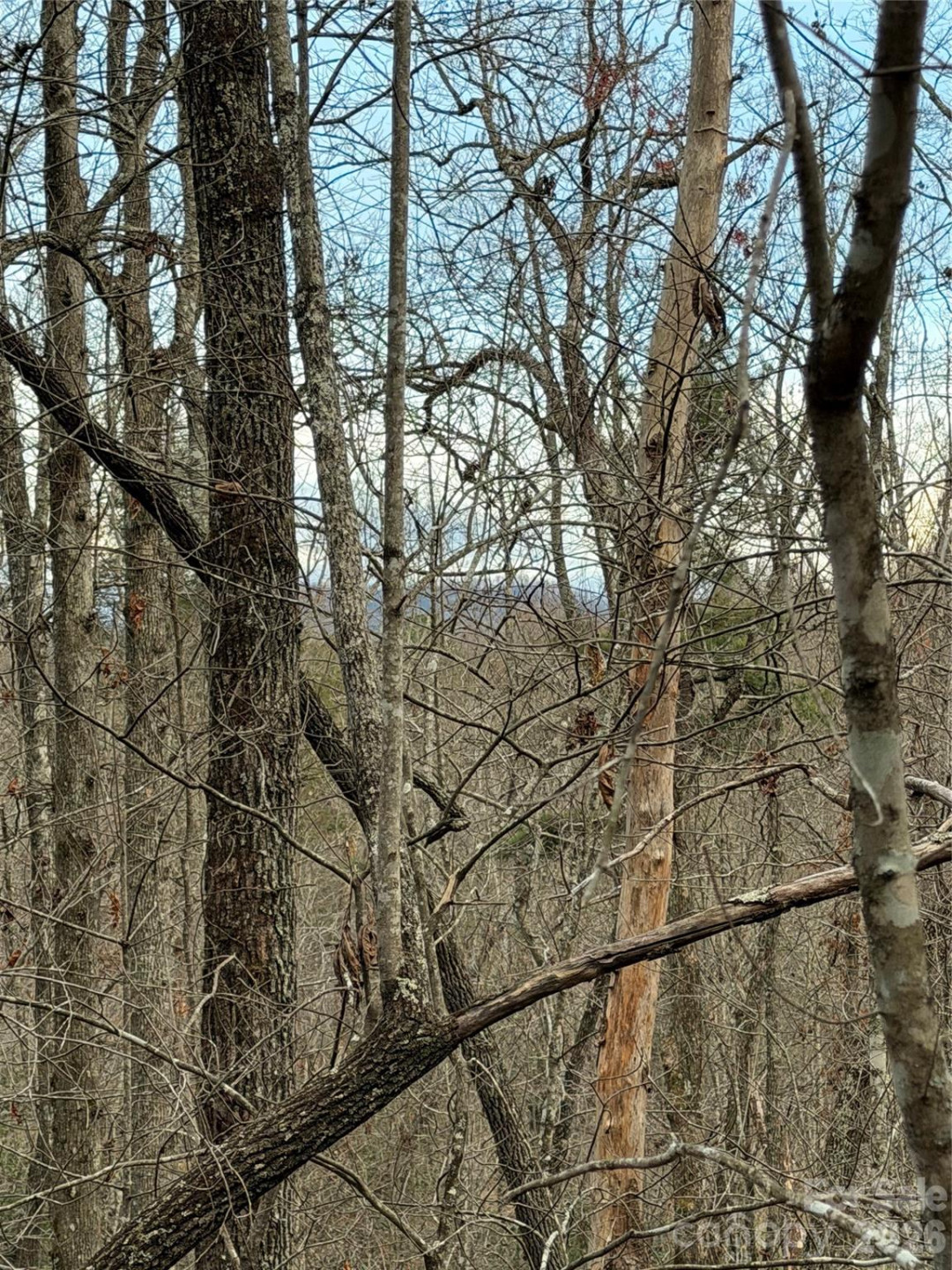 000 Fox Road - Photo 28