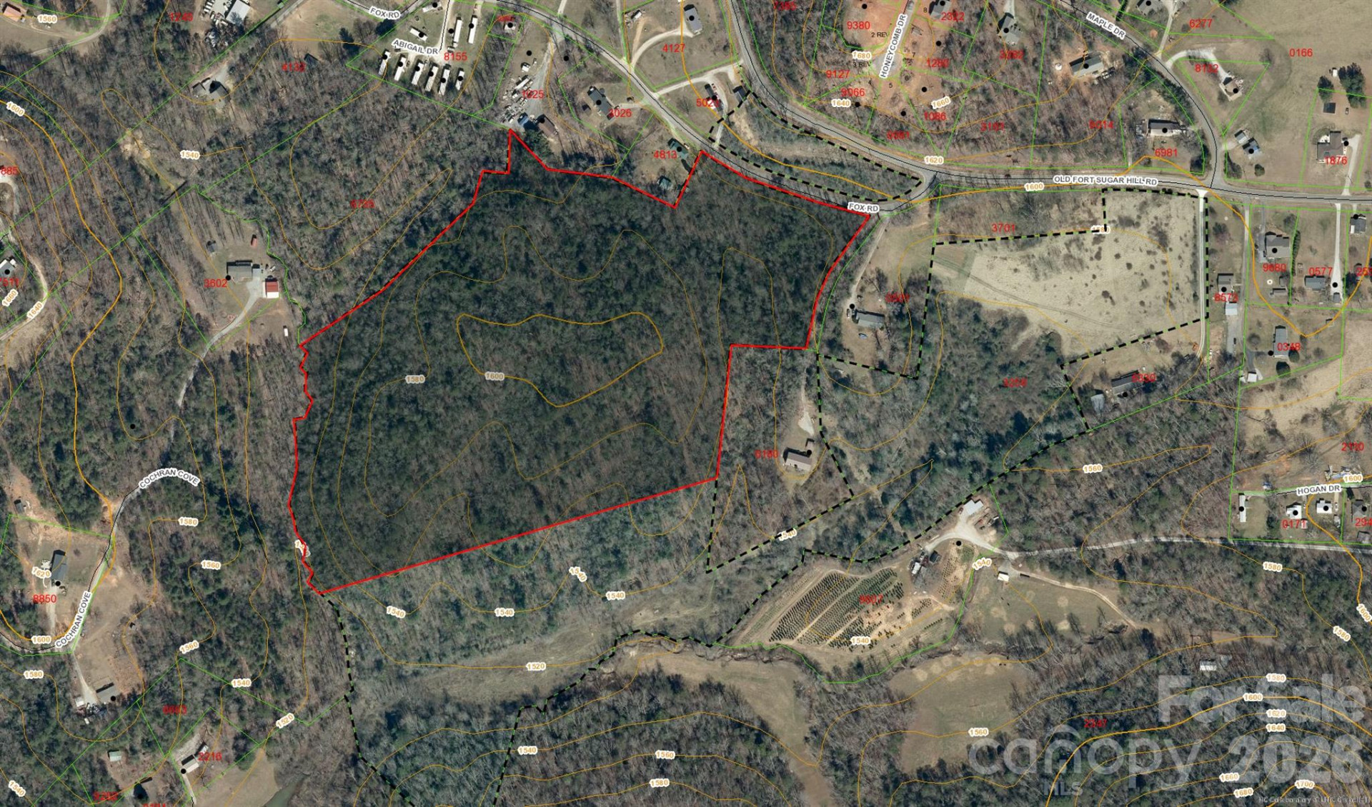 000 Fox Road - Photo 9