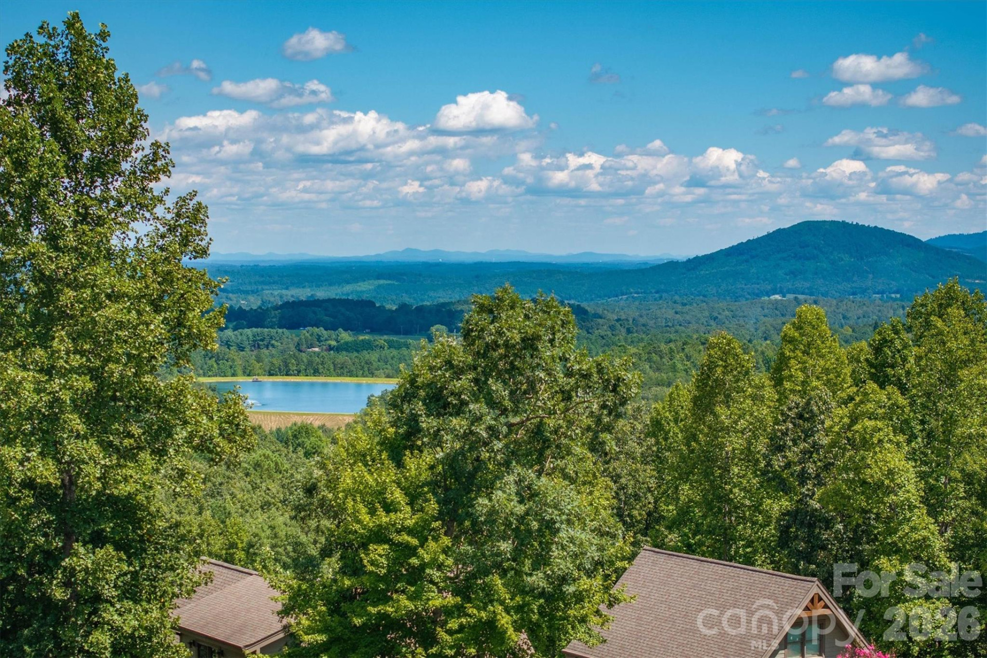 2262 Grandview Peaks Drive - Photo 12