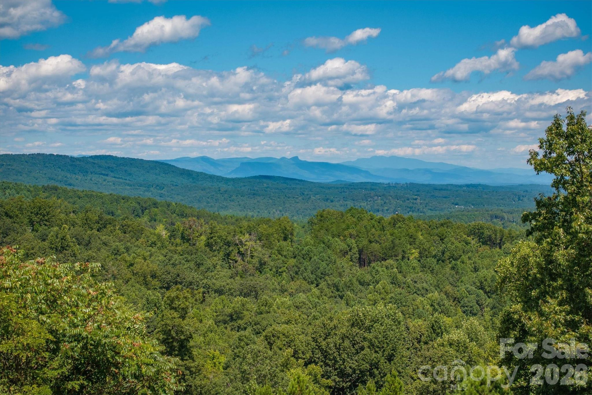 2262 Grandview Peaks Drive - Photo 13