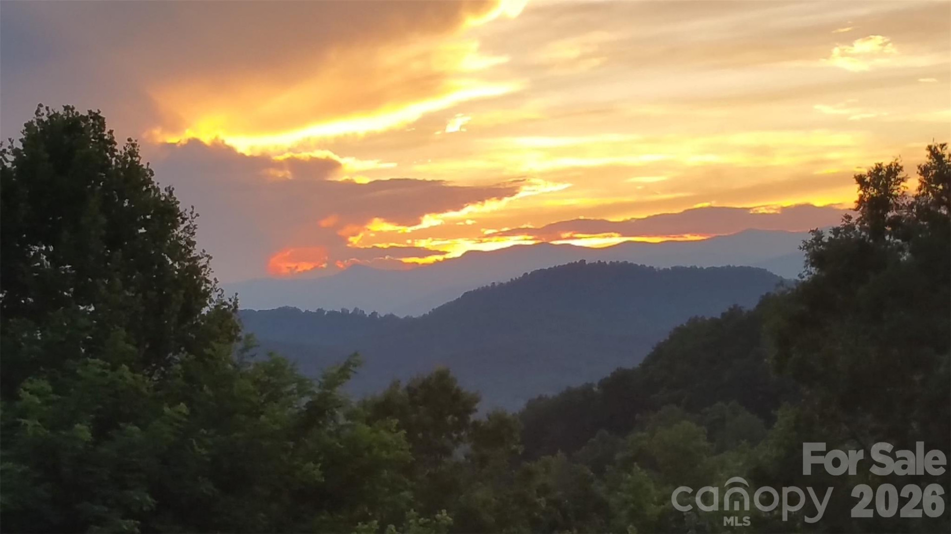 2262 Grandview Peaks Drive - Photo 38