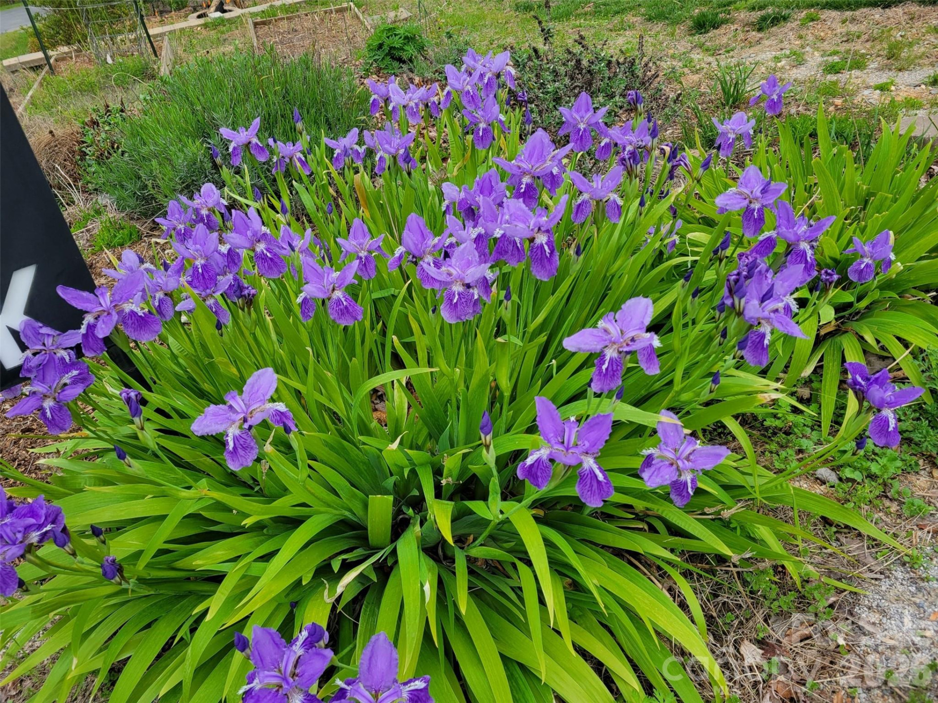 2262 Grandview Peaks Drive - Photo 41