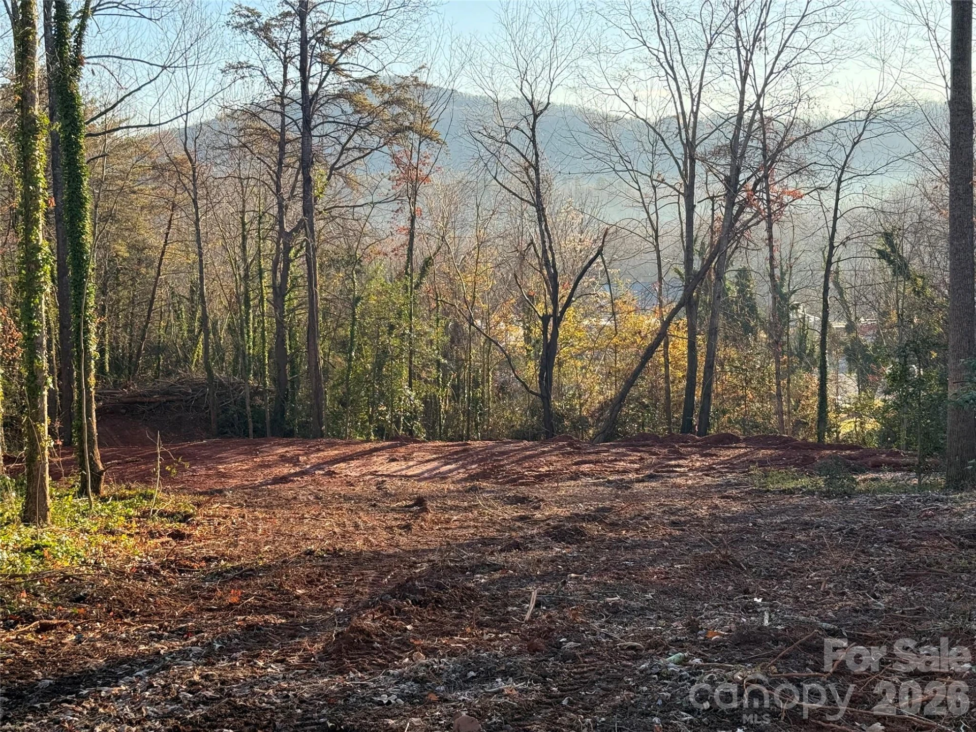 82 Overlook Drive - Photo 12