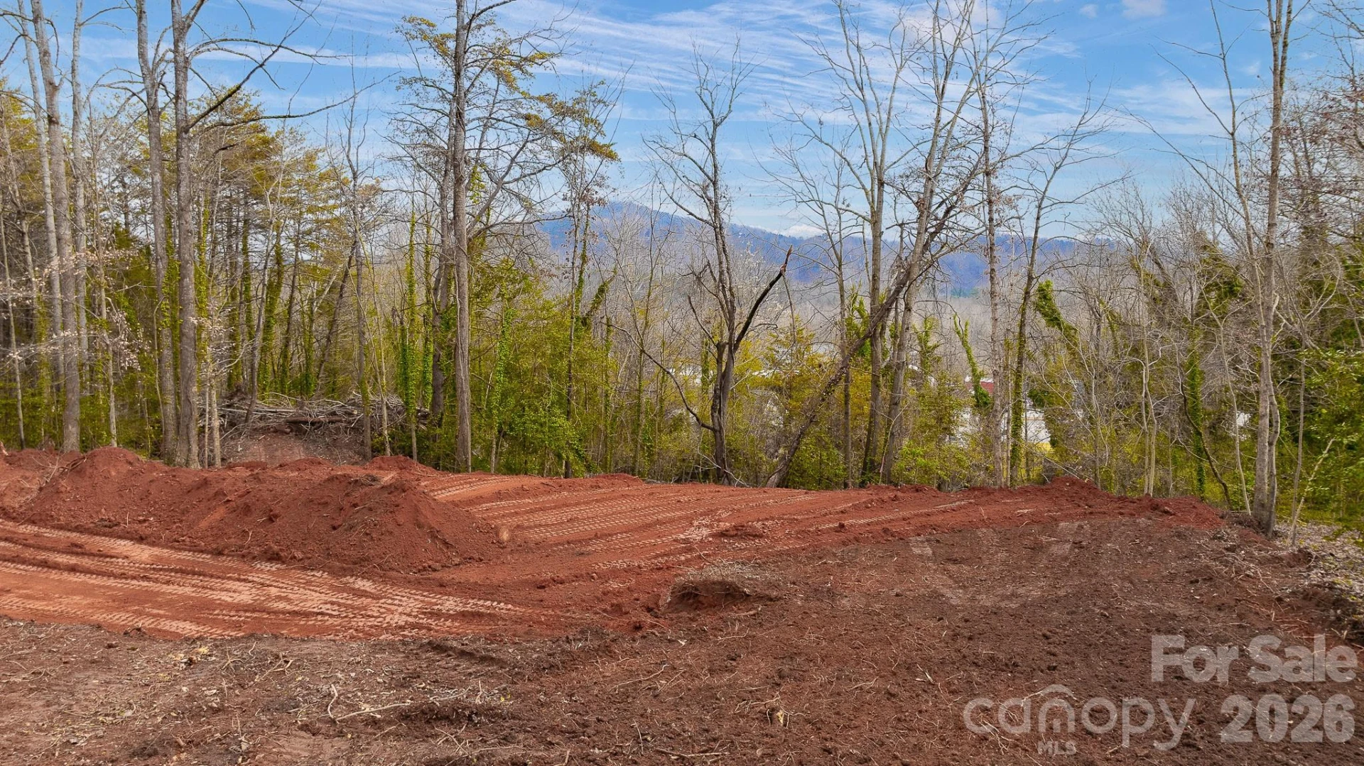 82 Overlook Drive - Photo 4