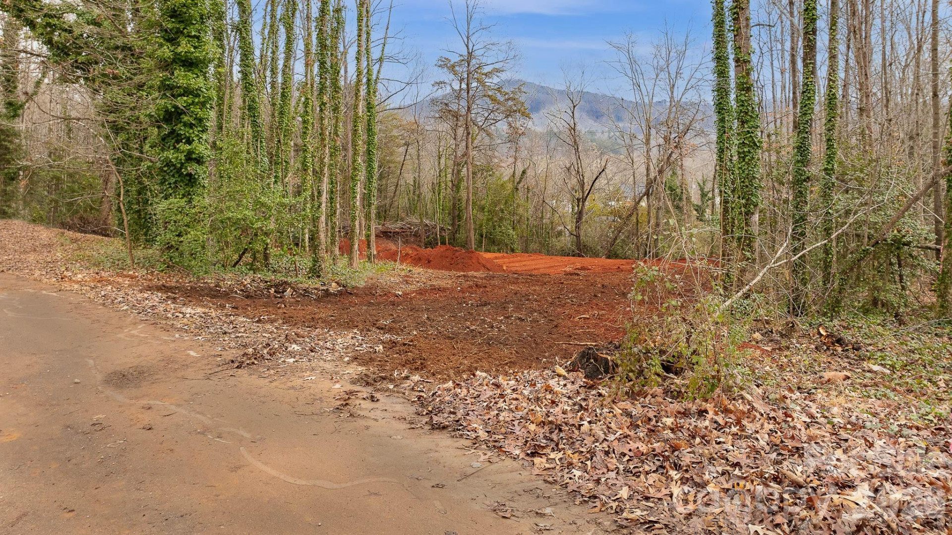 82 Overlook Drive - Photo 6