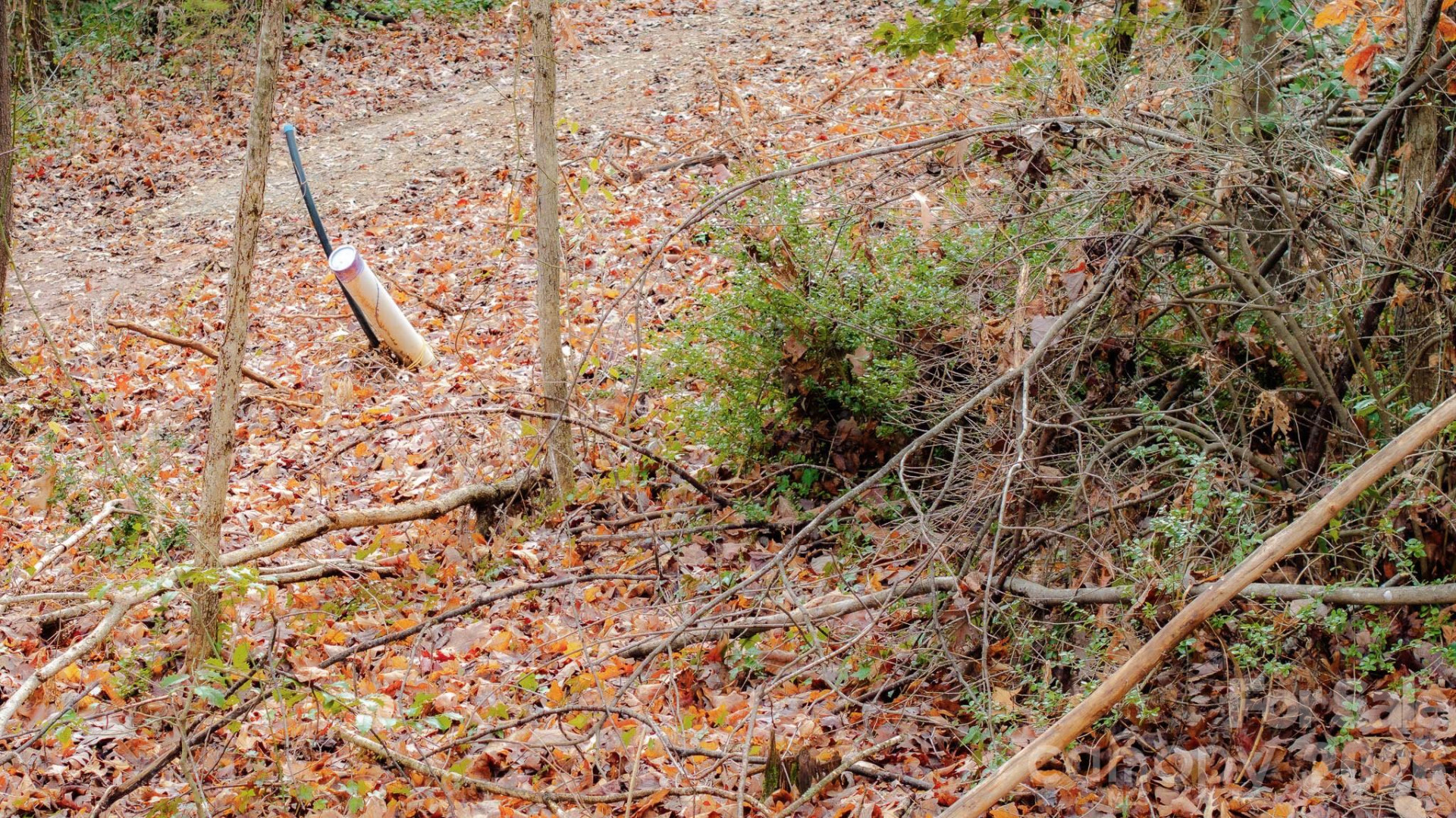 82 Overlook Drive - Photo 10