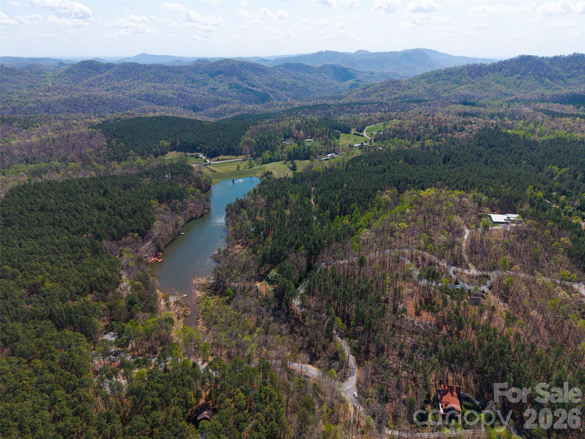 0 Shoal creek Trail - Photo 5