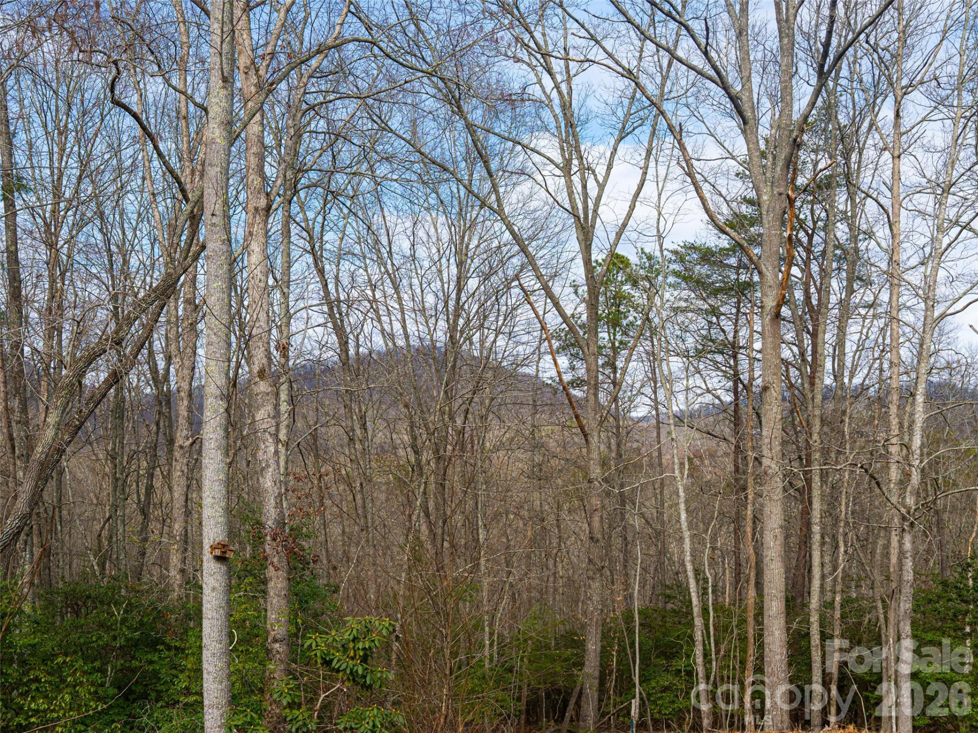 508 Avery Creek Road - Photo 20