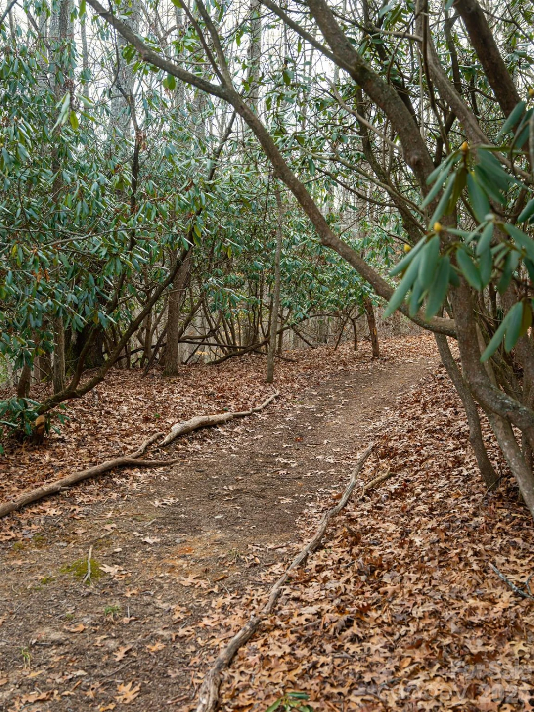 508 Avery Creek Road - Photo 36
