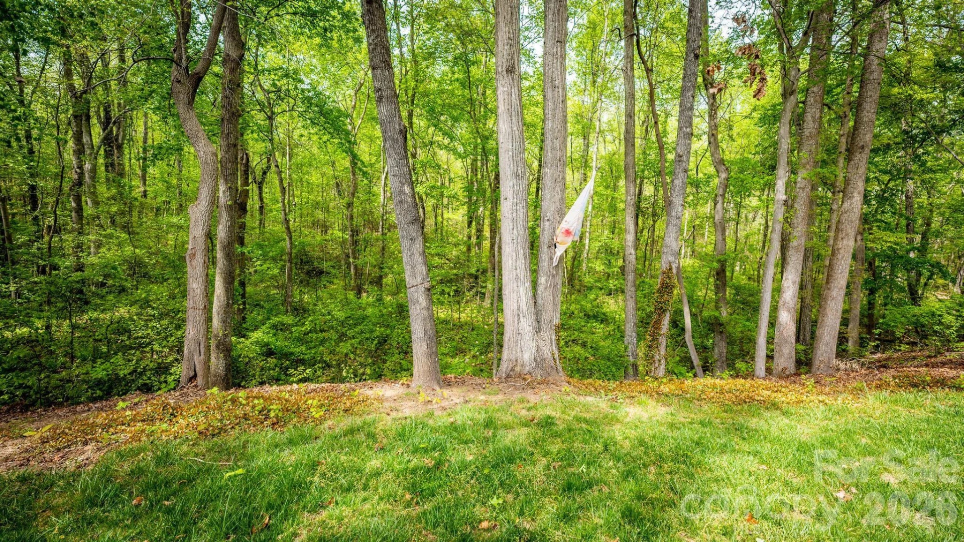 7867 Golf Course Drive - Photo 28