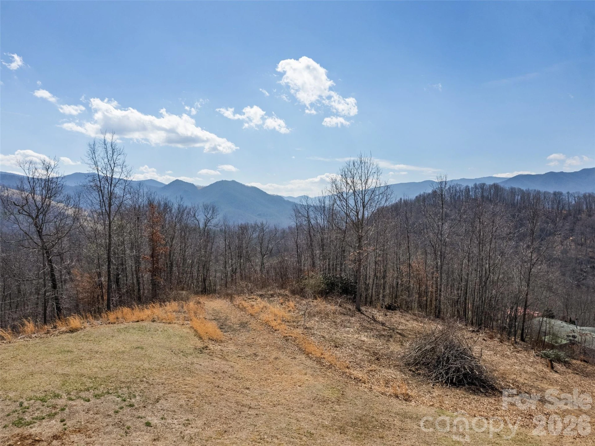 425 Rustic Ridge Drive - Photo 8
