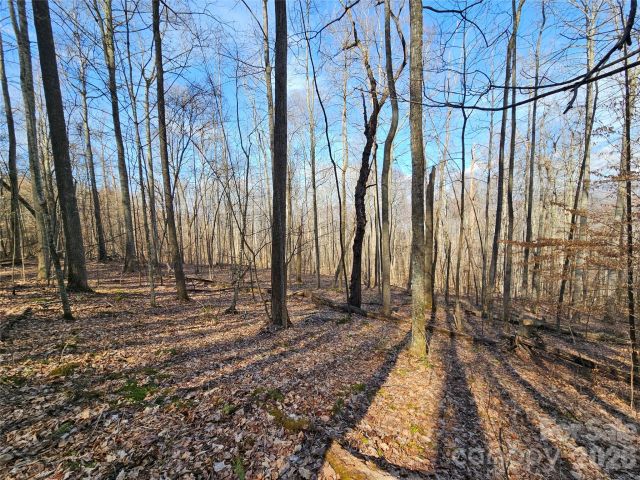 00 Red Wolf Run Road, Mars Hill, NC, 28754