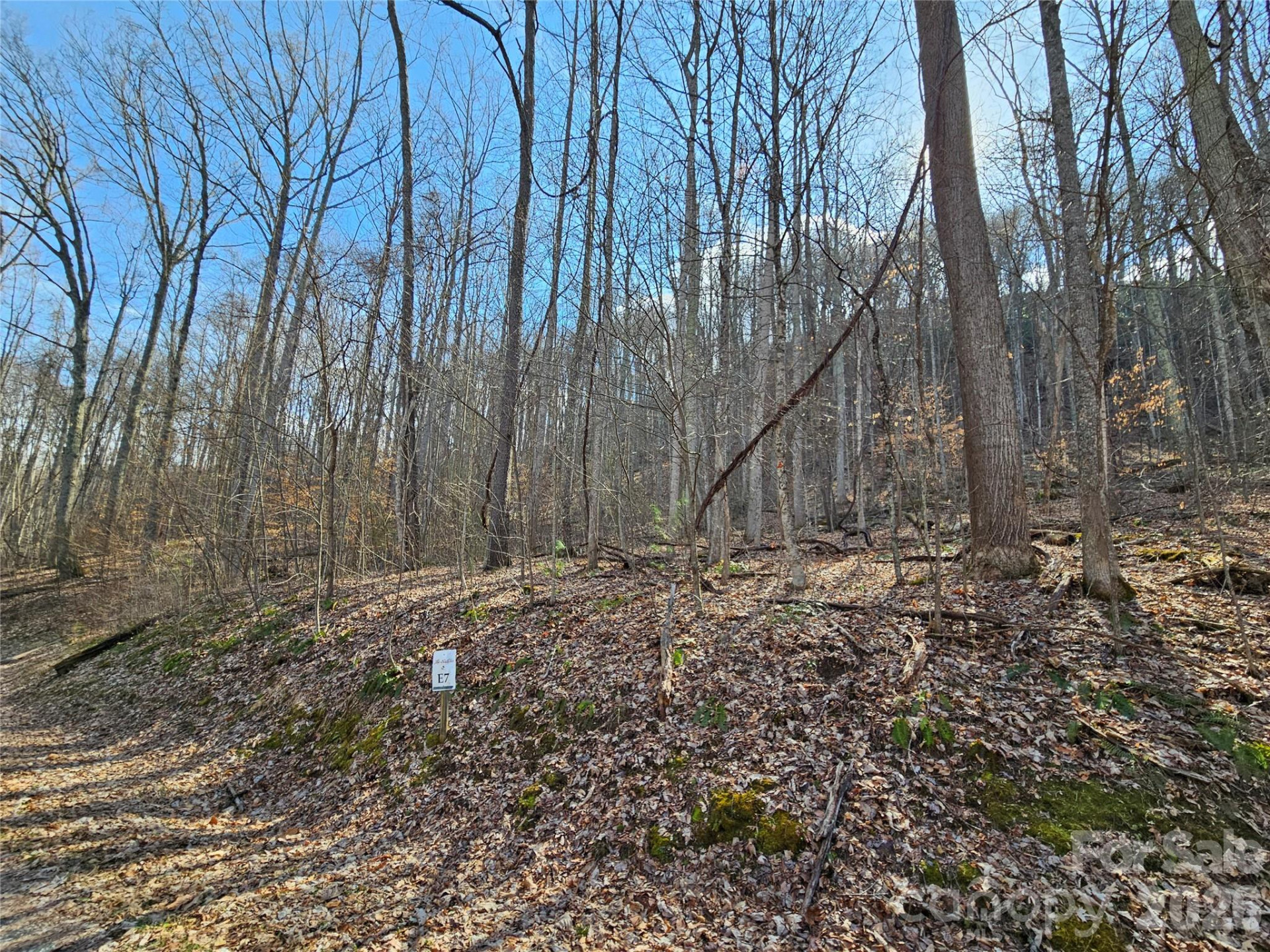 00 Red Wolf Run Road #E-7 - Photo 2