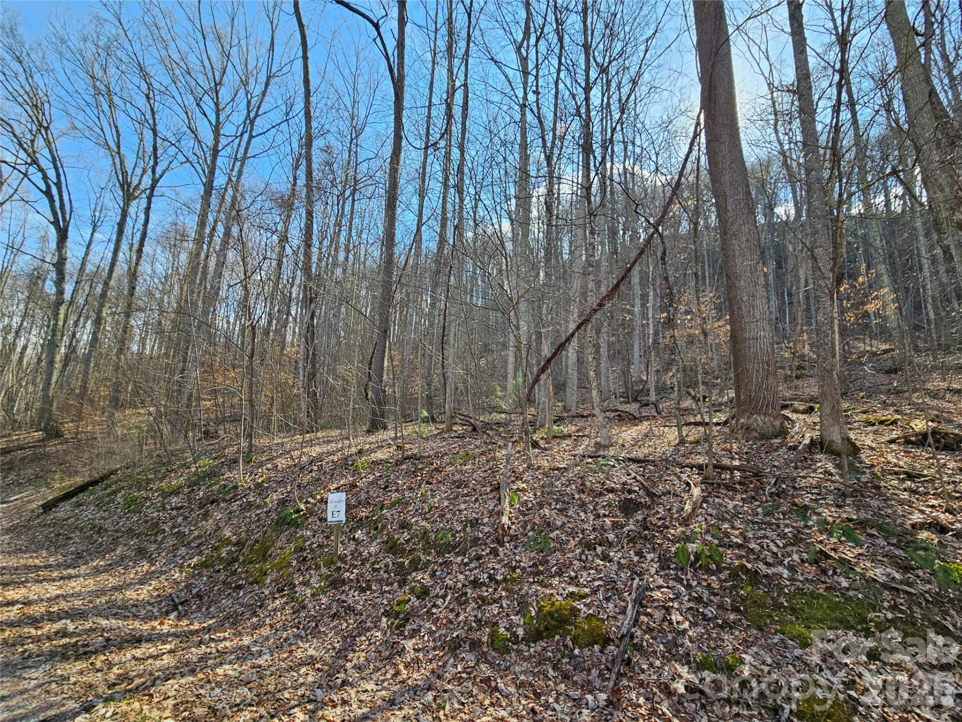 00 Red Wolf Run Road #E-7 - Photo 2