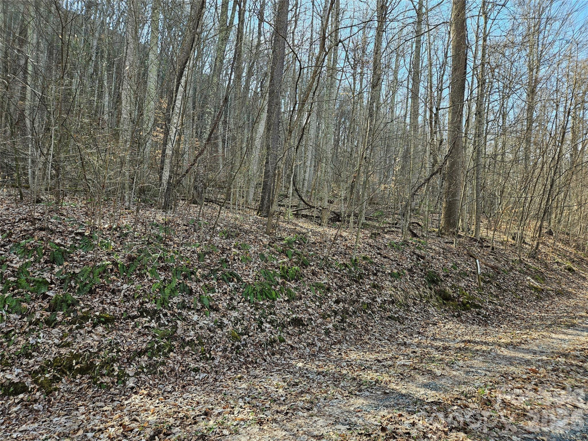 00 Red Wolf Run Road #E-7 - Photo 11